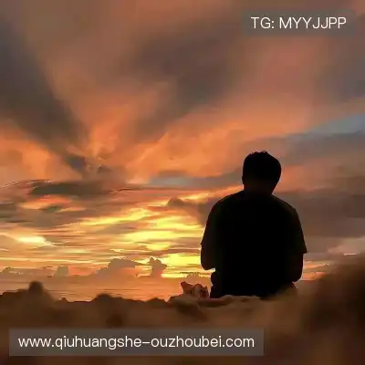 鲍秦心