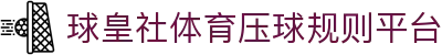 球皇社欧洲杯比分与赛程赛果查询_实时数据追踪